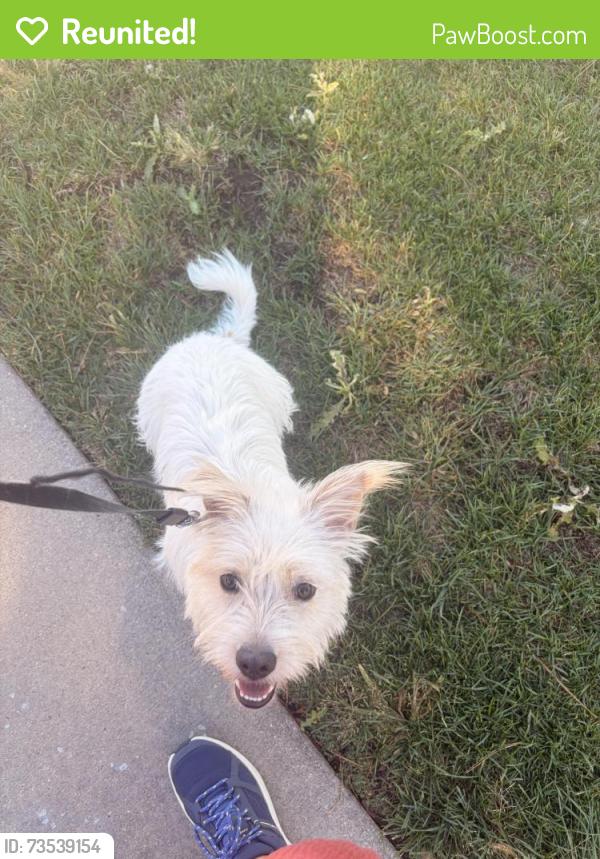Reunited Female Dog last seen 112th Legacy Ridge Parkway in s, Westminster, CO 80031