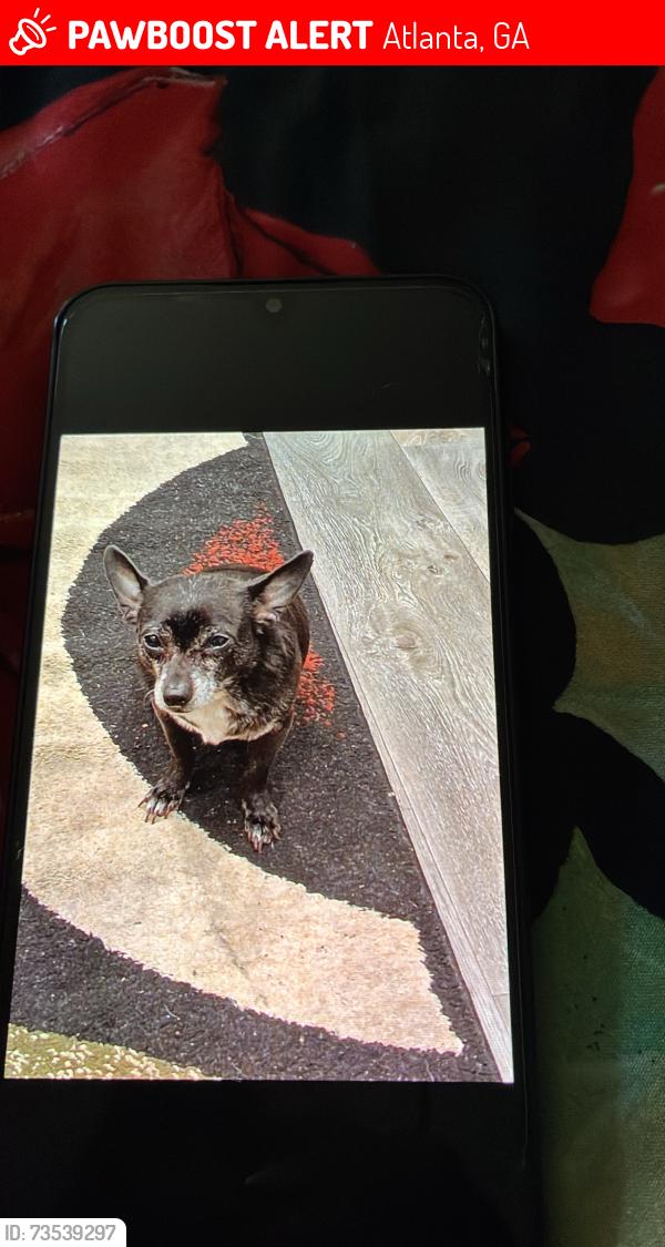 Lost Male Dog last seen Bolton Rd & Fulton Industrial, Atlanta, GA 30314