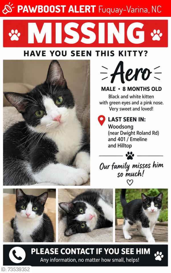 Lost Male Cat last seen Hilltop and Emeline / Dwight Rowland and 401, Fuquay-Varina, NC 27526