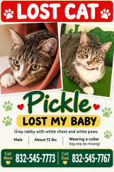 Lost Male Cat last seen N CopperKnoll Circle and Lake Woodlands drive, Spring, TX 77381