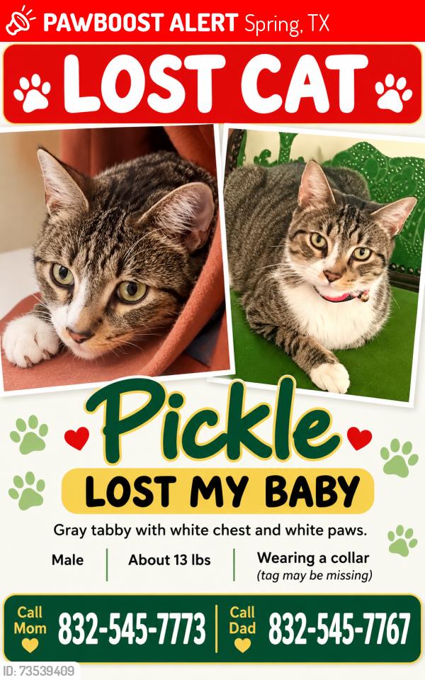 Lost Male Cat last seen N CopperKnoll Circle and Lake Woodlands drive, Spring, TX 77381