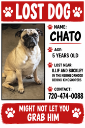 Reunited Male Dog last seen Yale and Buckley, Aurora, CO 80013