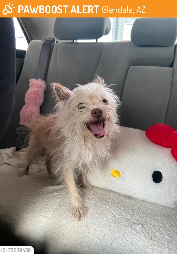 Found/Stray Male Dog last seen 59th & Olive crossing the street, Glendale, AZ 85302