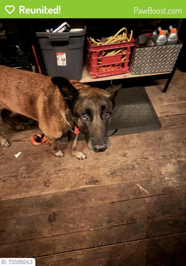 Reunited Male Dog last seen Southeast green valley road and state route 169, Auburn, WA 98002