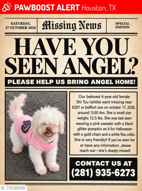 Lost Female Dog last seen Bob white, Houston, TX 77035