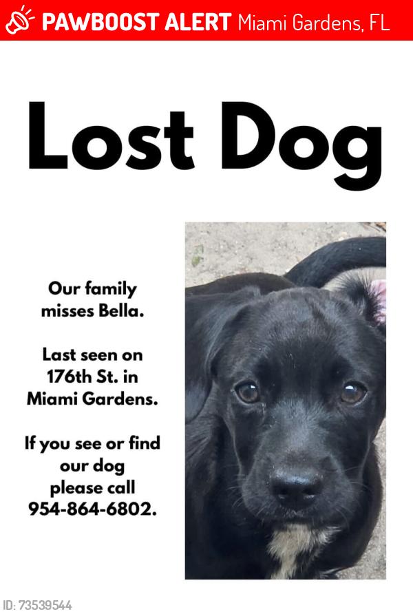 Lost Female Dog last seen Nw 175th st, Miami Gardens, FL 33056