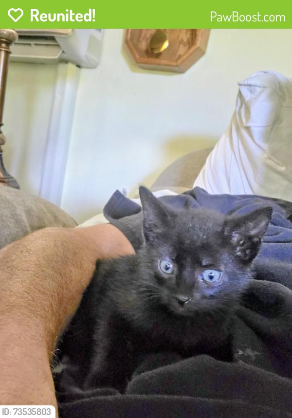 Reunited Male Cat last seen Speedway on 701 in Conway, Horry County, SC 29526