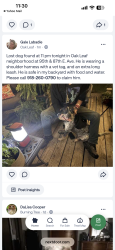 Found/Stray Male Dog last seen 95th & 87th E Ave, Tulsa, OK 74133