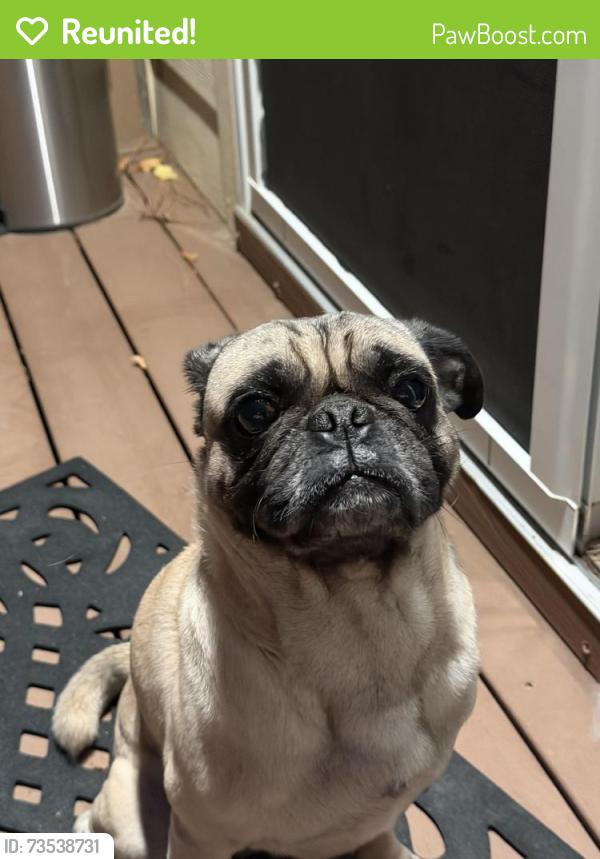 Reunited Male Dog last seen Yale and Buckley neighborhood, Aurora, CO 80013