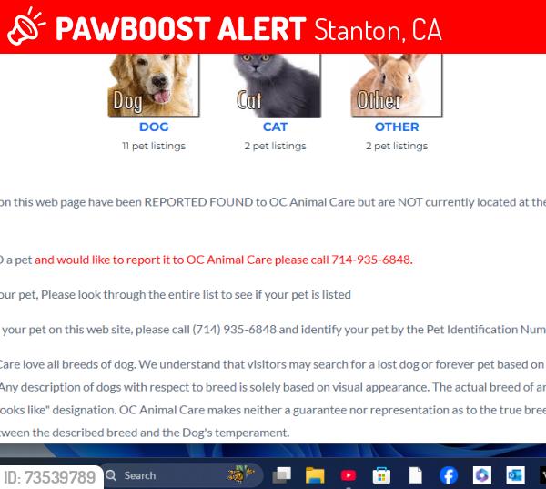 Lost Female Cat last seen mobile home, Stanton, CA 90680