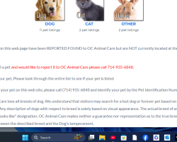 Lost Female Cat last seen mobile home, Stanton, CA 90680