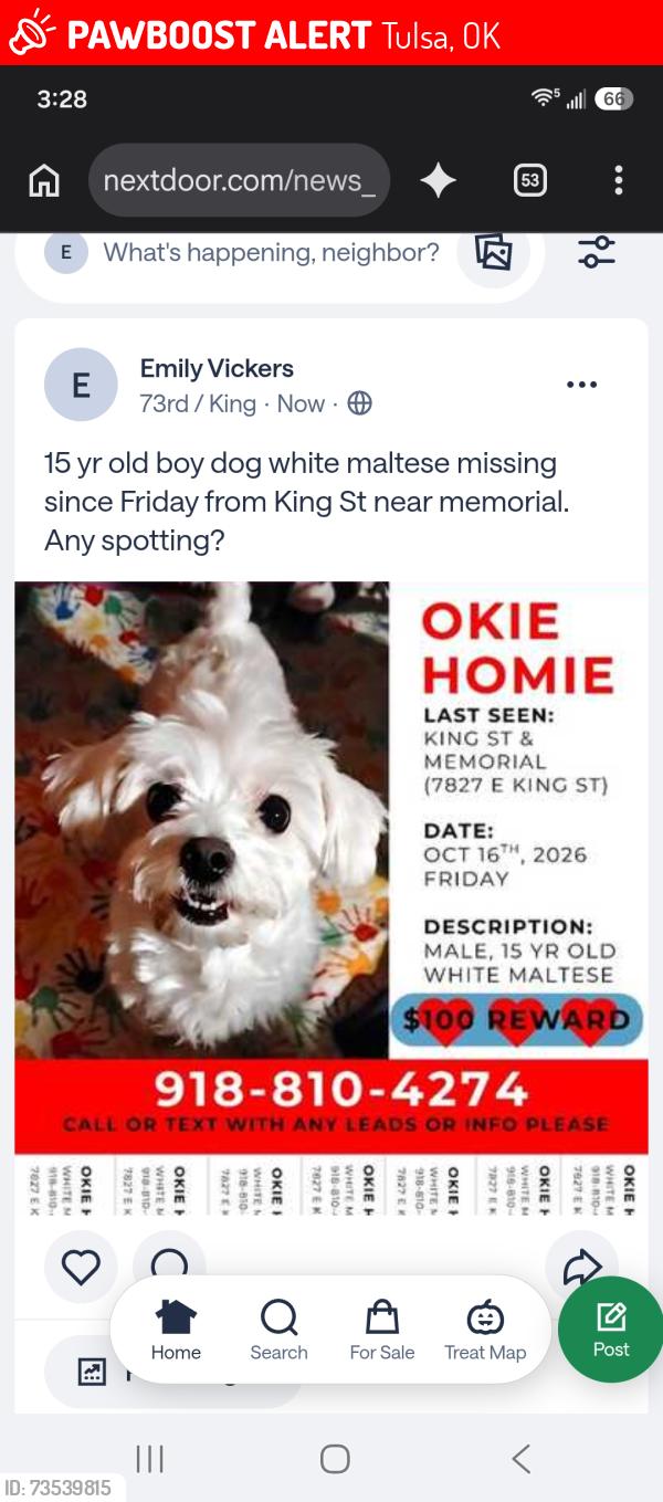 Lost Male Dog last seen E King St and Memorial Dr, Tulsa, OK 74115