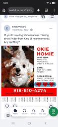 Lost Male Dog last seen E King St and Memorial Dr, Tulsa, OK 74115