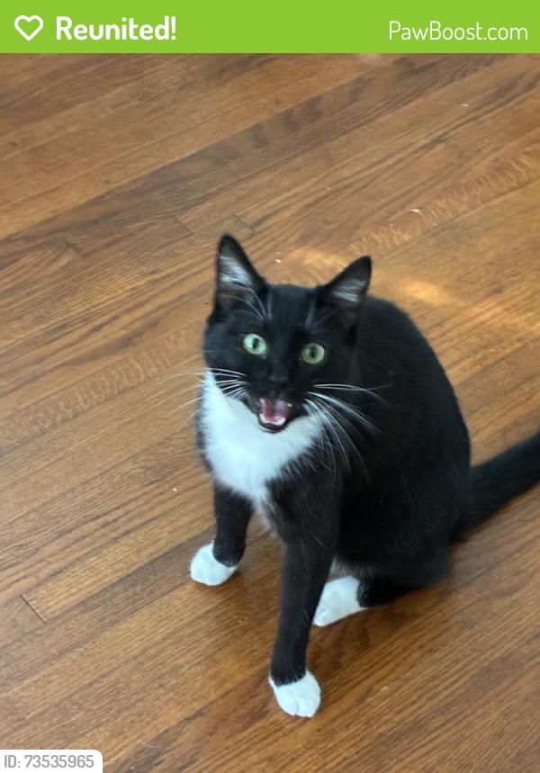 Reunited Male Cat last seen Near NW 26th St, Oklahoma City, OK 73106, USA, Oklahoma City, OK 73106