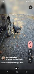Found/Stray Male Dog last seen Near Goodwin Bridge Rd., Travelers Rest, SC 29690