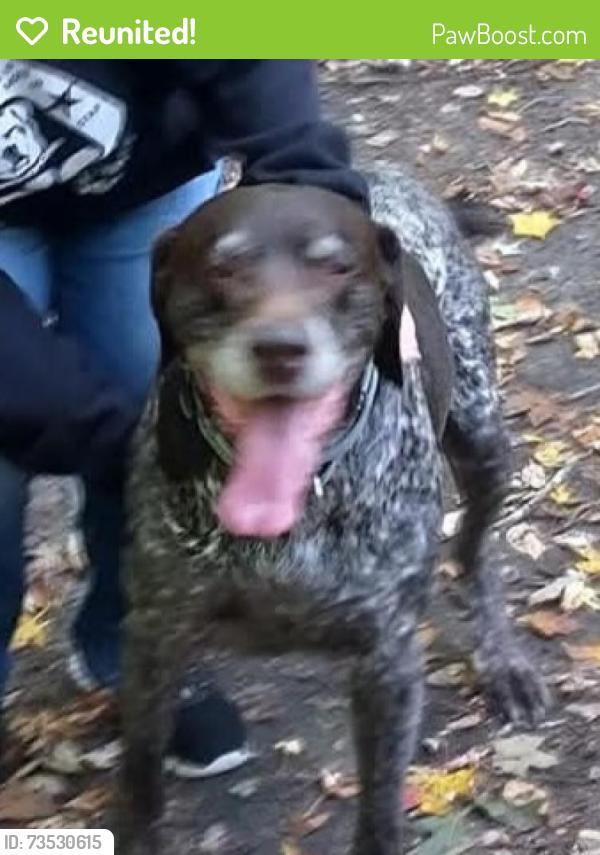 Reunited Male Dog last seen Elm and Division, Saginaw, MI 48602