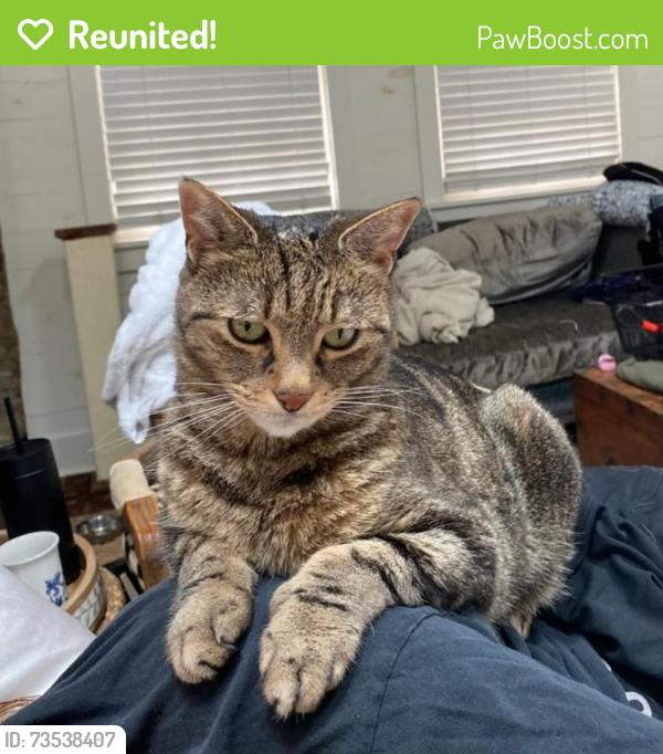 Reunited Male Cat last seen Colonial Lake Park, Charleston, SC 29401