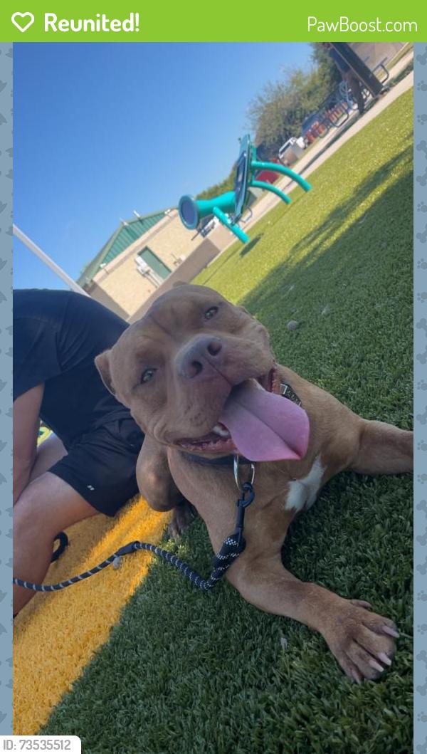 Reunited Male Dog last seen Jackson street on bollinger, Caldwell County, TX 78656