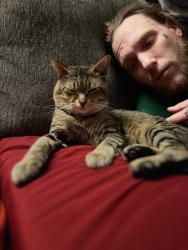 Reunited Male Cat last seen 23rd ave, Rockford, IL 61104