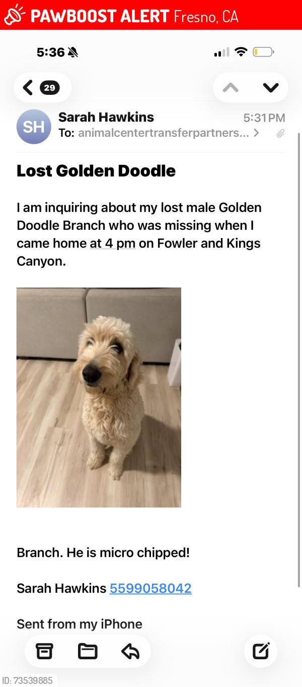 Lost Male Dog last seen Kings Canyon and Armstrong, Fresno, CA 93727