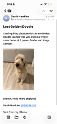 Lost Male Dog last seen Kings Canyon and Armstrong, Fresno, CA 93727