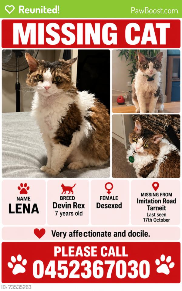 Reunited Female Cat last seen Imitation road Tarneit, Tarneit, VIC 3029