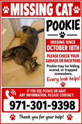 Reunited Male Cat last seen Liberty, and Missouri or Missouri and doughton, Salem, OR 97302