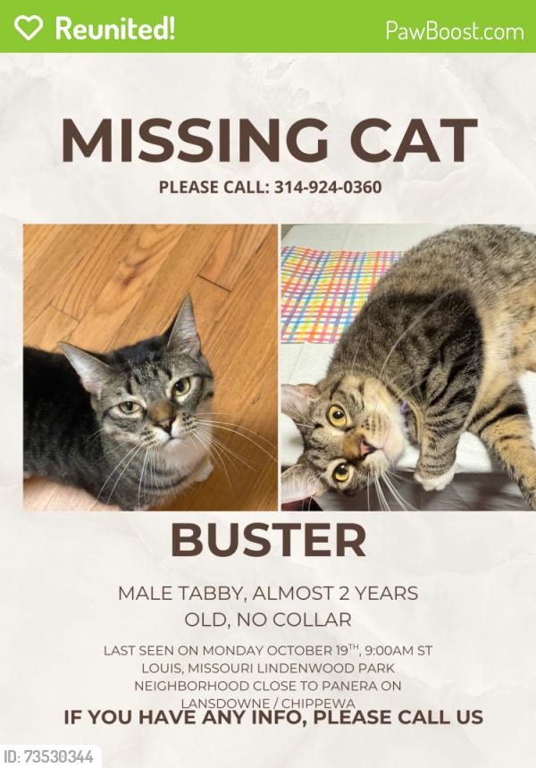 Reunited Male Cat last seen Lansdowne and Jamieson, St. Louis, MO 63109