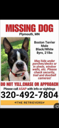 Reunited Male Dog last seen 28th and West Medicine Lake Drive Plymouth, MN, Plymouth, MN 55441