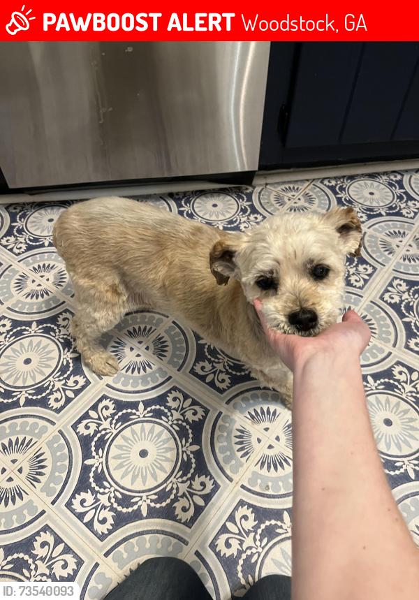 Lost Female Dog last seen Creekview Drive and Hwy 92; across from the Racetrack gas station on 92 and behind the Drip & Drop Liquor Store, Woodstock, GA 30188