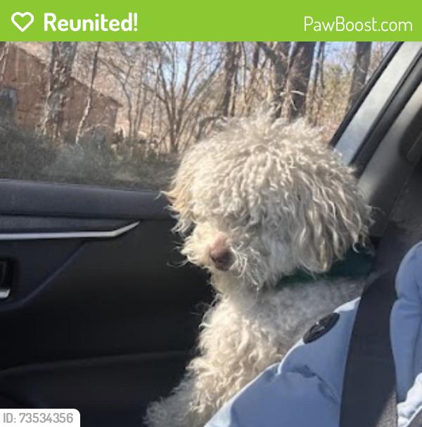 Reunited Male Dog last seen Near giles circle, Norfolk, VA 23513