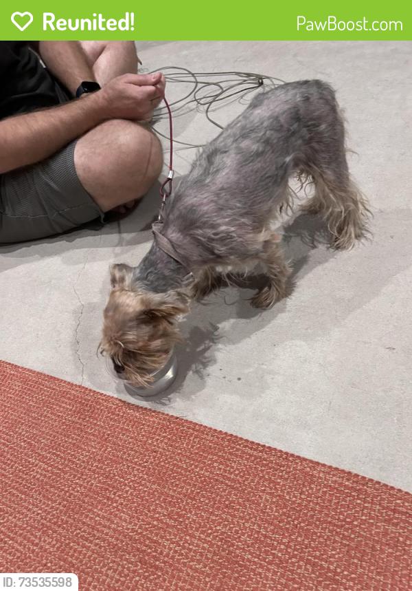 Reunited Female Dog last seen Heart D Farm Road, Youngsville, LA 70592