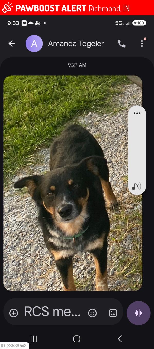 Lost Male Dog last seen Cook Rd & IN & OH Stateline Rd, Richmond, IN 47374