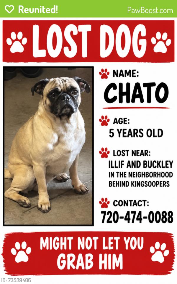 Reunited Male Dog last seen Yale and Buckley, Aurora, CO 80013