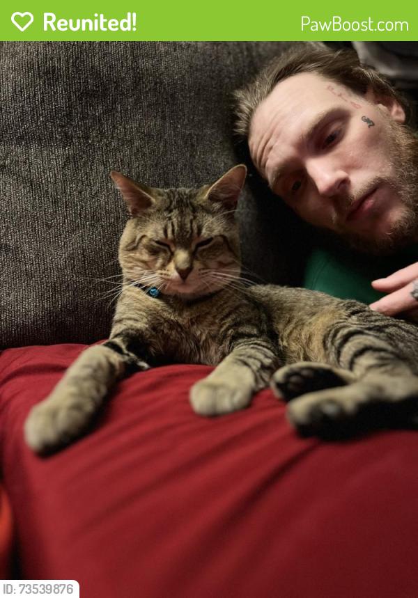 Reunited Male Cat last seen 23rd ave, Rockford, IL 61104