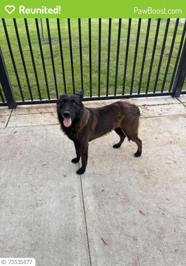 Reunited Male Dog last seen John Muir school, Merced, CA 95340