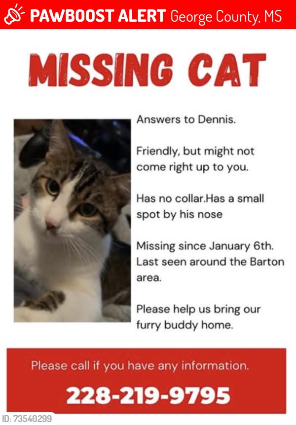 Lost Male Cat last seen Ida miller, George County, MS 39452
