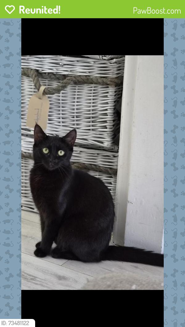 Reunited Female Cat last seen Jade close, Kent, England ME10 5AZ