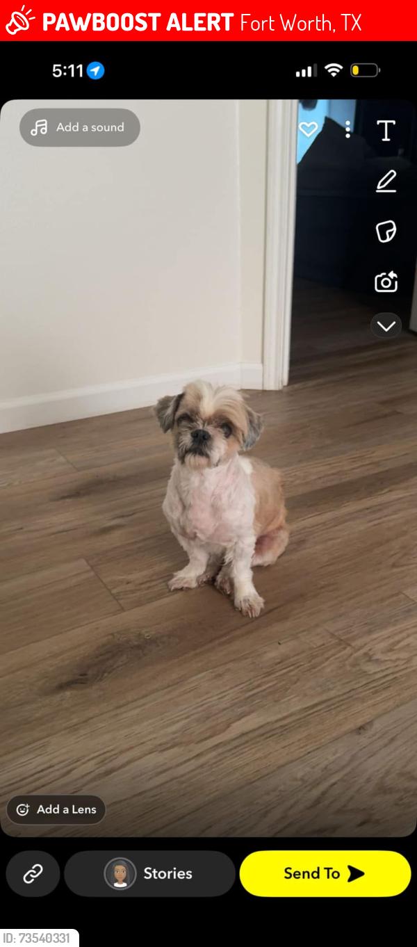Lost Male Dog last seen N Crowley Cleburne Rd , Garden Springs, W Risinger, S Hulen st, Fort Worth, TX 76123