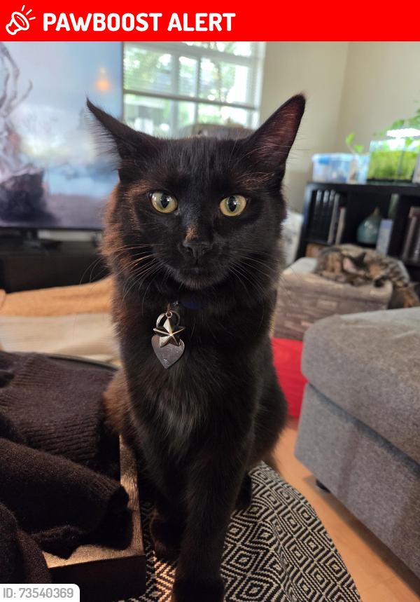 Lost Female Cat last seen 45-935 Ewen Avenue, New Westminster, BC 