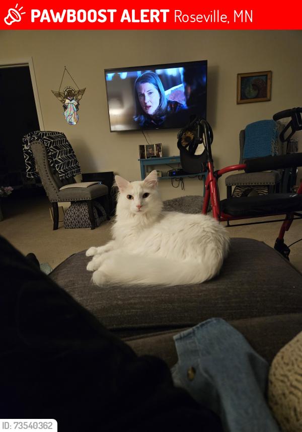Lost Male Cat last seen Central Park, Roseville, MN 55113