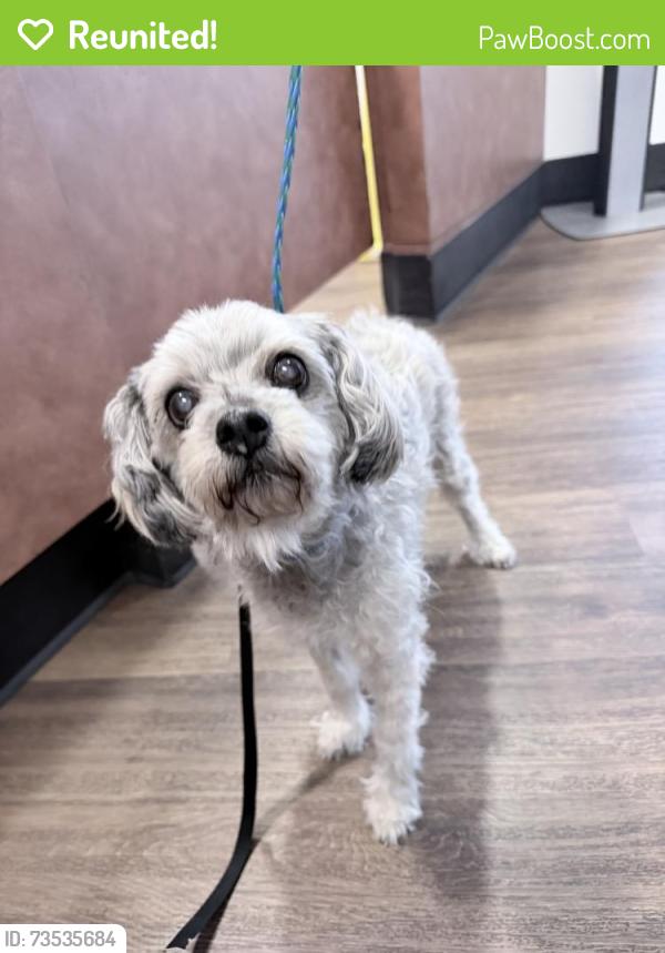 Reunited Female Dog last seen Edison Ave between Bell and Fulton, Sacramento, CA 95821