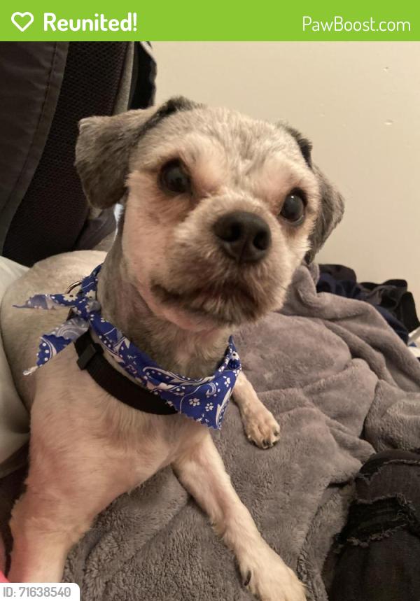 Reunited Male Dog last seen Pagosa Springs & Painted tree Trail, Fort Worth, TX 76131