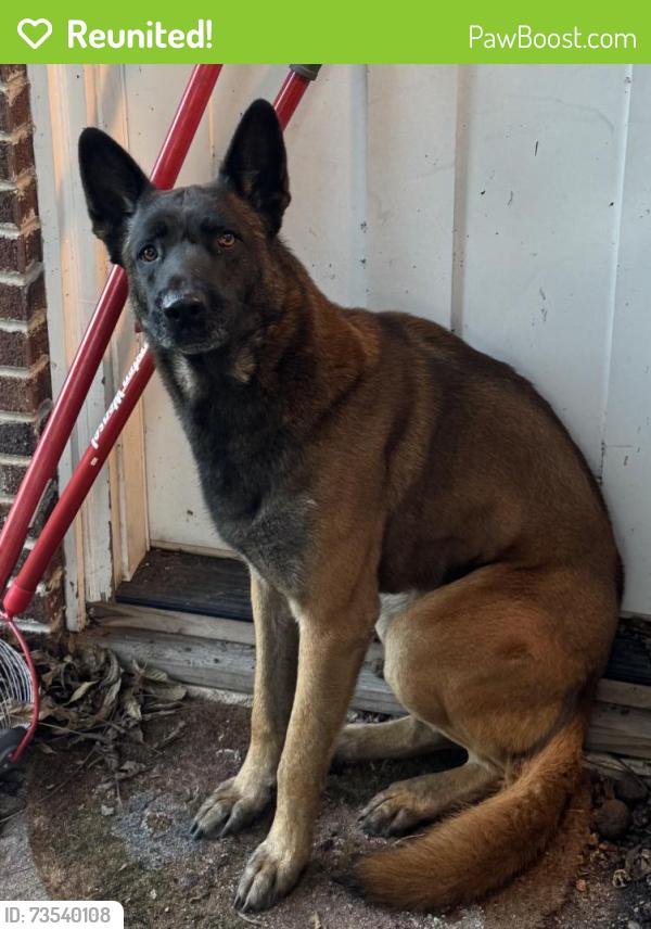 Reunited Unknown Dog last seen Union and Downer Pl, Aurora, IL 60505