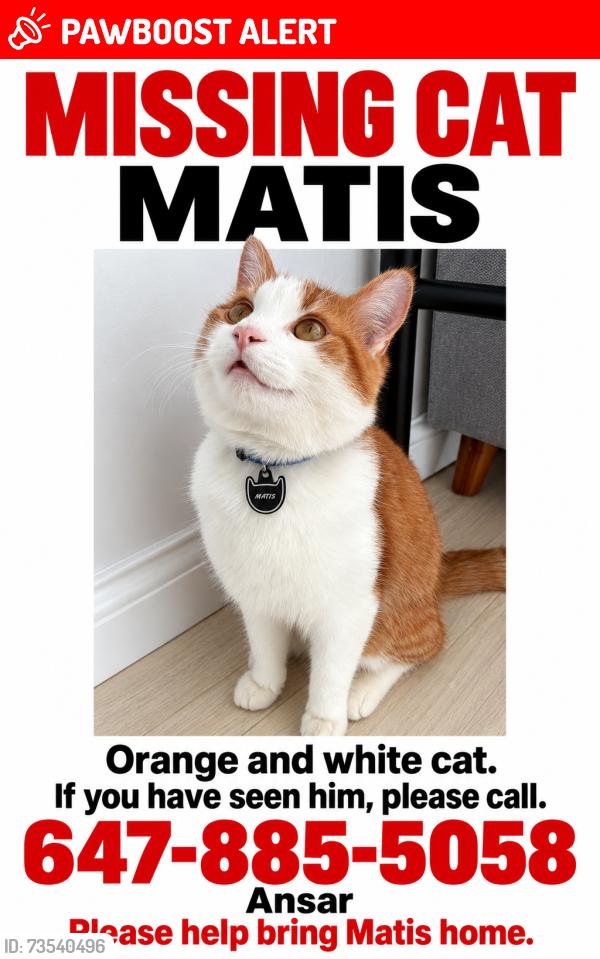 Lost Male Cat last seen Hillcrest mall, Richmond Hill, ON L4C 5W6