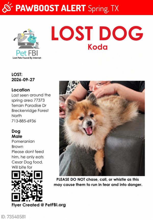 Lost Male Dog last seen Cimber Lane Spring, TX 77373, Spring, TX 77373