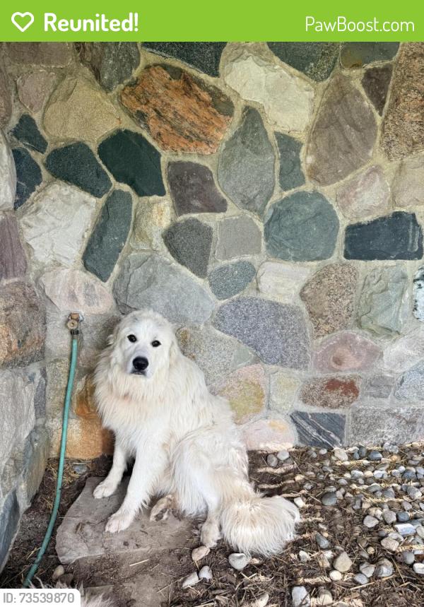 Reunited Male Dog last seen noble rd and weber rd in saline mi, Lodi Township, MI 48176