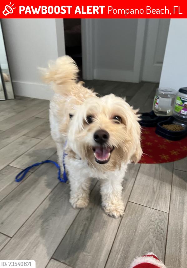 Lost Male Dog last seen In area around this park, Pompano Beach, FL 33069