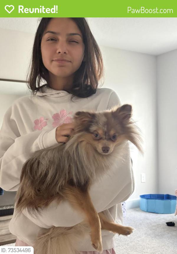 Reunited Male Dog last seen Bb living Wellen Park, Venice, FL 34293