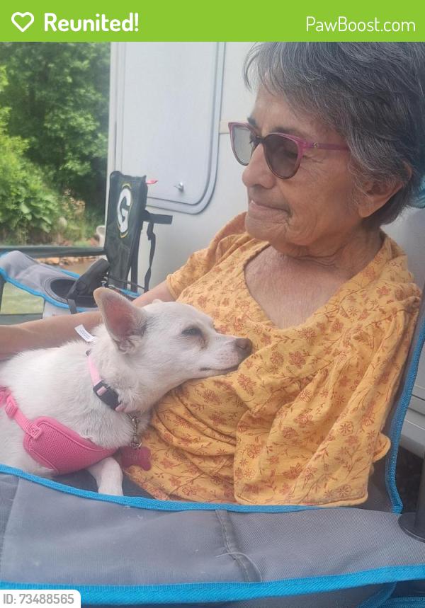 Reunited Female Dog last seen Near Del Aker Rd NW, Los Ranchos de Albuquerque, NM 87107